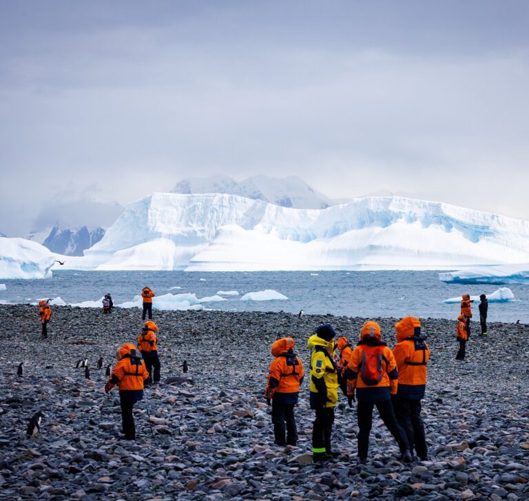 photo of tourists in antarctica